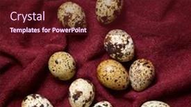  Presentation with tablecloth - Amazing slide deck having quail-eggs-on-a-garnet backdrop and a wine colored foreground