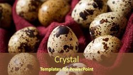  Presentation with quail - Slide deck with quail-eggs-on-a-garnet background and a tawny brown colored foreground