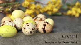  Presentation with quail - 