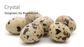  Presentation with quail - Presentation theme having quail-eggs-on-white-background background and a white colored foreground