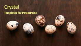  Presentation with quail - PPT layouts enhanced with quail eggs on wooden table background and a tawny brown colored foreground