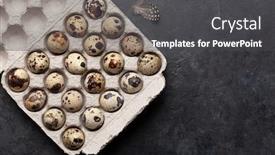  Presentation with quail - Cool new PPT theme with quail-eggs-pack-on-stone backdrop and a dark gray colored foreground