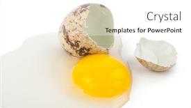  Presentation with protein - PPT theme with quail eggs yolk protein background and a white colored foreground