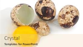  Presentation with protein - Audience pleasing slides consisting of quail eggs yolk protein backdrop and a yellow colored foreground