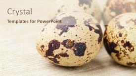  Presentation with quail - Slides featuring quail eggs background and a lemonade colored foreground