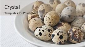  Presentation with quail - Audience pleasing presentation consisting of quail eggs backdrop and a  colored foreground