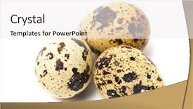  Presentation with quail - Amazing presentation theme having quail eggs backdrop and a white colored foreground