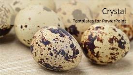  Presentation with quail - Amazing presentation having quail eggs backdrop and a soft green colored foreground