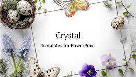  Presentation with quail - PPT theme enhanced with quail nest with eggs butterfly background and a white colored foreground