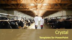  Presentation with coats - Audience pleasing PPT theme consisting of quality control - back view portrait of two backdrop and a tawny brown colored foreground