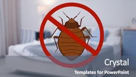  Presentation with quality control - Presentation theme consisting of quality control - stop bug sign and clean background and a gray colored foreground