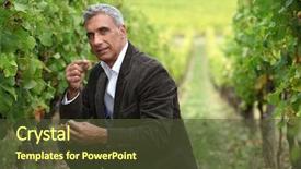  Presentation with quality control - Cool new PPT theme with quality control - vineyard owner backdrop and a tawny brown colored foreground