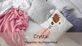  Presentation with quality control - Beautiful PPT theme featuring quality control - woman with magnifying glass detecting backdrop and a mint green colored foreground