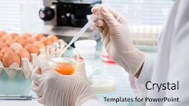  Presentation with quality control - Colorful PPT theme enhanced with quality control expert inspecting backdrop and a light gray colored foreground