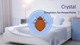  Presentation with symbol - Amazing PPT theme having quality issue - symbol of bug and infested backdrop and a sky blue colored foreground