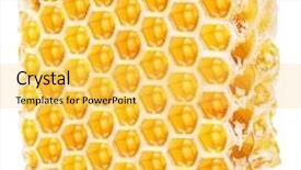  Presentation with internal quality audit - Audience pleasing presentation design consisting of quality picture contains clipping path backdrop and a yellow colored foreground