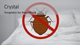  Presentation with clean - Presentation theme with quality risk - stop bug sign and clean background and a light gray colored foreground