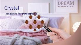  Presentation with magnifying glass - PPT theme enhanced with quality risk - woman with magnifying glass detecting background and a sky blue colored foreground