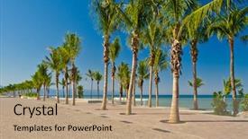  Presentation with women travel mexico - PPT theme enhanced with quay in puerto vallarta mexico background and a coral colored foreground