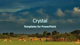  Presentation with savanna - Cool new presentation theme with african savanna queen elizabeth backdrop and a ocean colored foreground