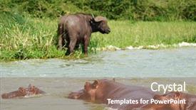  Presentation with uganda - Amazing theme having kazinga channel in queen elizabeth backdrop and a violet colored foreground