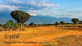 Presentation with savanna - Colorful theme enhanced with african savanna queen elizabeth national backdrop and a gold colored foreground