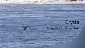  Presentation with generational african american culture and food - Cool new PPT layouts with quick service restaurants - american bald eagle looking backdrop and a  colored foreground