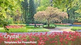  Presentation with bloom - Audience pleasing presentation theme consisting of quiet garden - beauty tree in bloom backdrop and a coral colored foreground