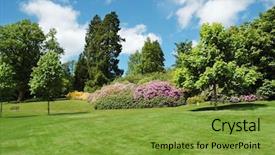  Presentation with summer trees - Colorful slide deck enhanced with quiet garden - trees and lawn backdrop and a tawny brown colored foreground