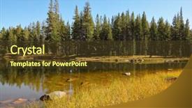 Presentation with autumn morning - Audience pleasing slide set consisting of quiet lake surrounded by woods in the mountains ofyosemite park early autumn morning backdrop and a tawny brown colored foreground