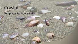  Presentation with sea shell - Beautiful PPT theme featuring quiet sea side - shell backdrop and a light gray colored foreground