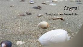  Presentation with sea shell - Presentation enhanced with quiet sea side - shell background and a light gray colored foreground