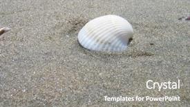  Presentation with sea shell - PPT theme consisting of quiet sea side - shell background and a gray colored foreground