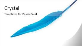  Presentation with feather pen - PPT theme having quill pen - writing feather isolated background and a white colored foreground