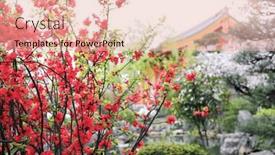  Presentation with japanese flowers - PPT theme featuring quince-blossoming-season-in-japan background and a coral colored foreground