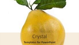  Presentation with isolation - Beautiful PPT theme featuring quince one isolation on a white background backdrop and a yellow colored foreground