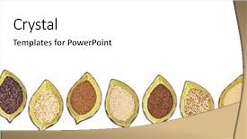  Presentation with rice grains - Presentation design consisting of nine gluten free grains millet background and a white colored foreground