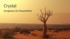  Presentation with africa - Amazing PPT layouts having quiver tree in namibia africa backdrop and a blonde colored foreground