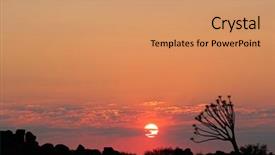  Presentation with tree silhouette - Theme having quiver tree on the horizon background and a coral colored foreground