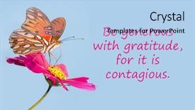  Presentation with gratitude - Colorful presentation theme enhanced with quote - be generous with gratitude backdrop and a light blue colored foreground