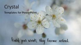  Presentation with philosopher - Colorful slide deck enhanced with quote by ancient chinese philosopher backdrop and a light blue colored foreground