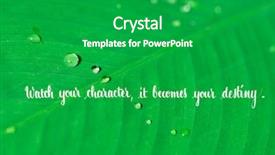  Presentation with philosopher - Theme having quote by ancient chinese philosopher background and a shamrock green colored foreground