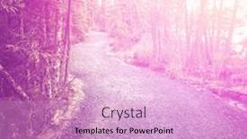  Presentation with quote - PPT layouts with quote-don-t-think background and a lavender colored foreground