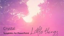  Presentation with mean - Colorful PPT theme enhanced with quote-little-things-mean backdrop and a coral colored foreground