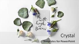  Presentation with flat earth - Audience pleasing slide deck consisting of quote the earth laugh backdrop and a light gray colored foreground