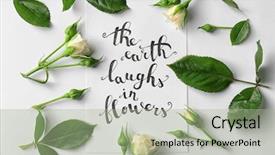  Presentation with flat earth - PPT theme having quote the earth laugh background and a mint green colored foreground