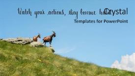  Presentation with philosopher - Presentation theme consisting of quotes - quote by ancient chinese philosopher background and a light blue colored foreground