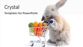  Presentation with bunny - PPT theme consisting of rabbit - cute bunny shopping for his background and a white colored foreground