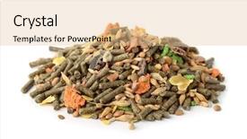  Presentation with dry - Amazing PPT layouts having rabbit - pile of dry compound rodents backdrop and a lemonade colored foreground