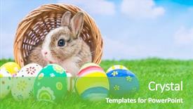  Presentation with rabbit - Cool new presentation theme with rabbit and easter eggs backdrop and a seafoam green colored foreground